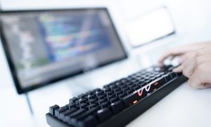 Launch your career with co-op